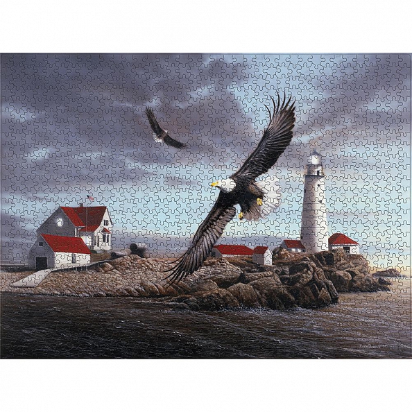 1000pcs Eagle -Jigsaw Puzzle(69x51cm) PW582