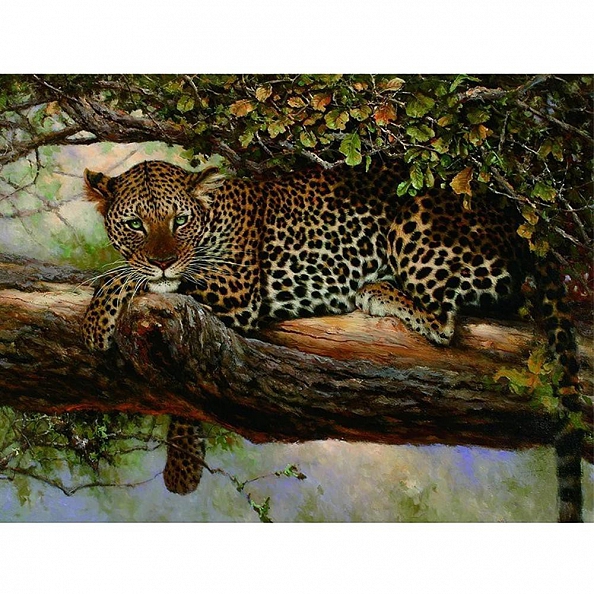 DIY Paint By Numbers Kit(40x50cm) - Tree Leopard PW755