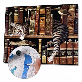 DIY Paint By Numbers Kit(40x50cm) Cat Books-PW762