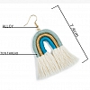 Colorful tassel earrings PWB226