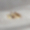 Crystal Leaf Hoop Earrings PWB547