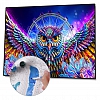 Diy Paint by Number Kits - Owl PW659