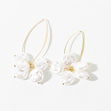 Elegant Peal & Crystal Earrings PWB549