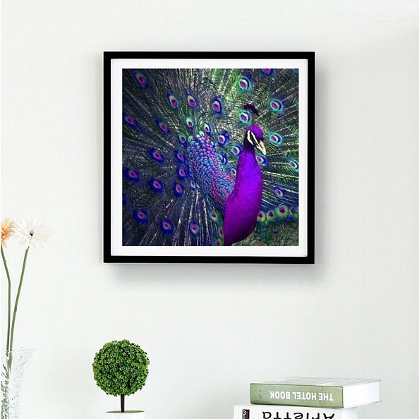 Peacock - Full Round Diamond Painting PW690
