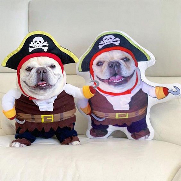 Custom Pet Photo Pillow, Custom Pet Face Pillow, 3D Portrait Pillow PW091