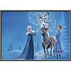 Cartoon Frozen 5D Diamond Painting Set PW522