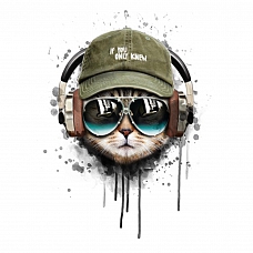 DIY Paint By Numbers Kit(40x50cm) -Headphone Cat PW782