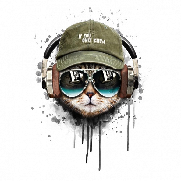 DIY Paint By Numbers Kit(40x50cm) -Headphone Cat PW782