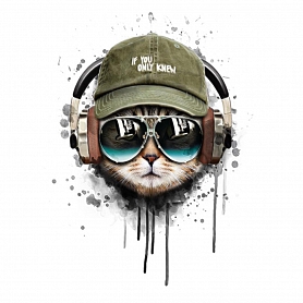 DIY Paint By Numbers Kit(40x50cm) -Headphone Cat PW782