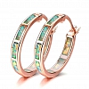  Circle Hoop Earrings PWB316