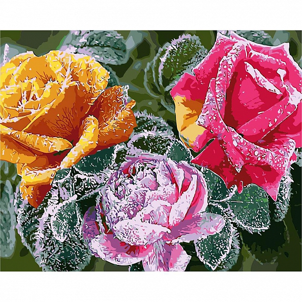 Diy Paint by Number Kits - Flowers PW644