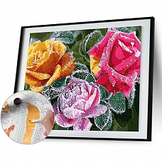 Diy Paint by Number Kits - Flowers PW644