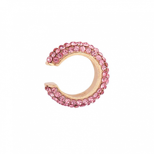 C Shape Earrings PW980