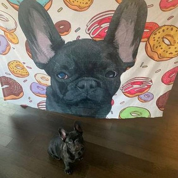 Custom Dog Blankets Personalized Pet Photo Blankets Painted Art Portrait Fleece Blanket PW006