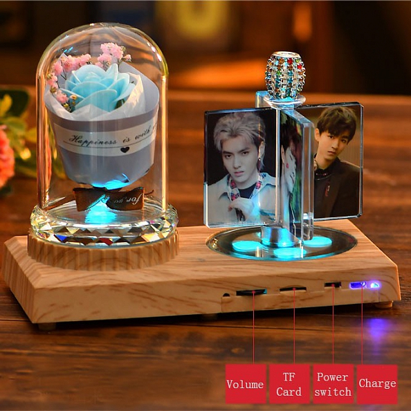 Custom Photo Rose Lamp Bluetooth PW299