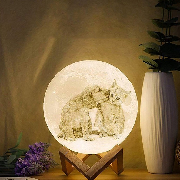 Moon Lamp With Photo 16 Colors PW031
