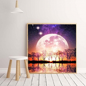 Moonlight Full Drill 5D Diamond Painting Kit PW483