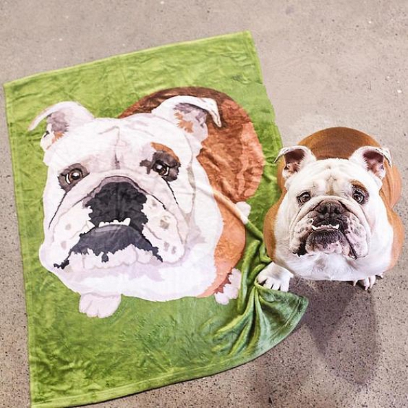 Custom Dog Blankets Personalized Pet Photo Blankets Painted Art Portrait Feelce Blanket PW141