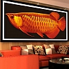 Red Fish 5D Diamond Painting Kit PW506