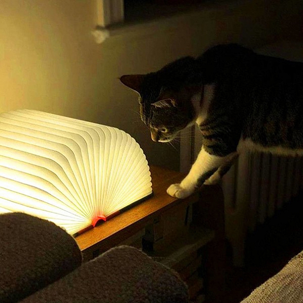 Custom Amazing Book Lamp Desk, Reading, Floor Night Light - White And Black PW040