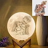 Moon Lamp With Photo Two Colors PW027