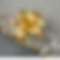 925 Lily Dangle Earrings PWB399
