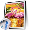 DIY Paint By Numbers Kit(40x50cm) Flamingo- PW756