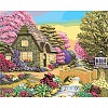 DIY Paint By Numbers Kit(16x20in40x50cm)-Stone House PW799