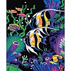 DIY Paint By Numbers Kit(40x50cm) Freedom Fish- PW753