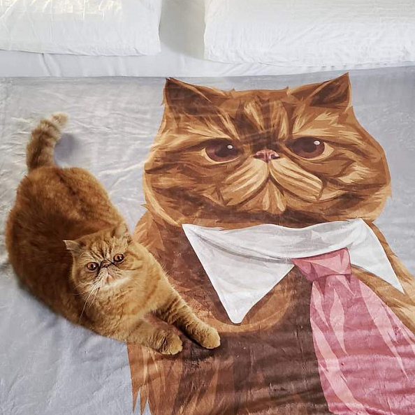 Custom Dog Blankets Personalized Pet Photo Blankets Painted Art Portrait Fleece Blanket PW007