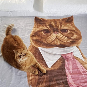 Custom Dog Blankets Personalized Pet Photo Blankets Painted Art Portrait Fleece Blanket PW007