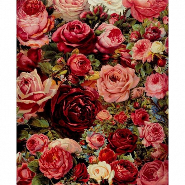DIY Paint By Numbers Kit(40x50cm) Bloom Flowers-PW759