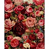 DIY Paint By Numbers Kit(40x50cm) Bloom Flowers-PW759
