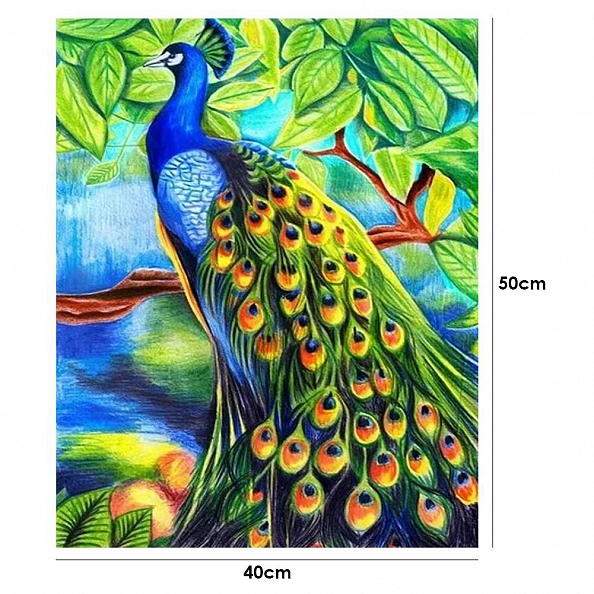 DIY Paint By Number Kits-Peacock (40*50 CM) PW619