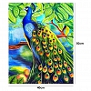 DIY Paint By Number Kits-Peacock (40*50 CM) PW619