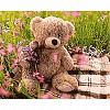 Diy Paint by Number Kits-Cute Bear PW651
