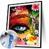 DIY Paint By Numbers Kit(40x50cm) Eye PW790