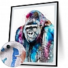 DIY Paint By Numbers Kit(40x50cm) - Chimpanzee PW780