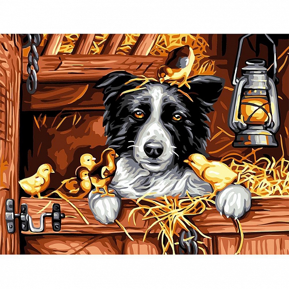 DIY Paint By Numbers Kit(40x50cm) - Chick Dog PW754