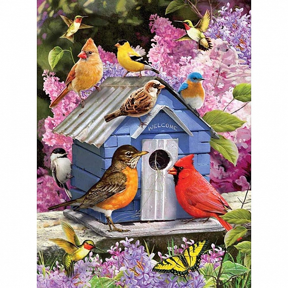 Diy Paint by Number Kits - Bird House PW656