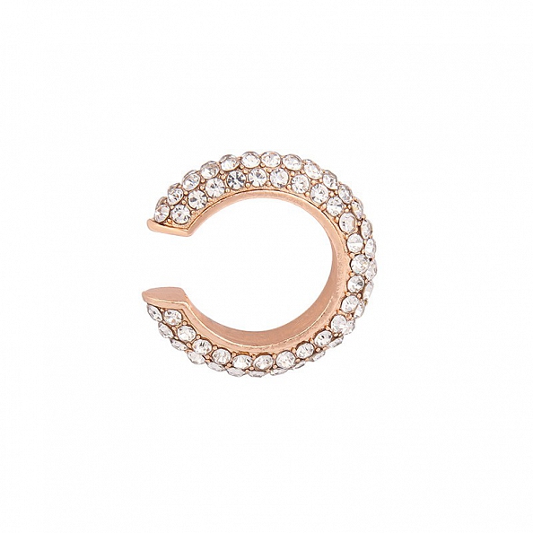 C Shape Earrings PW980