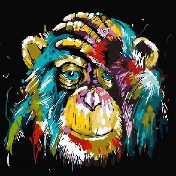 Animal Monkey Paint By Numbers Kits PW101