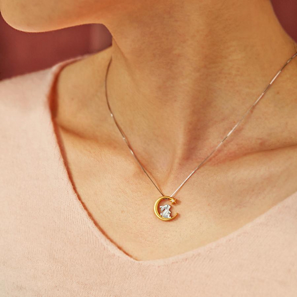 YOU'RE SOME BUNNY SPECIAL BUNNY Pendant Necklace PWB442