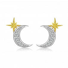 Shiny Moon & Star Stud Earrings PWB443
