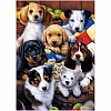 Full Drill 5D Diamond Painting Kit (DIY) - Dog Collection PW433