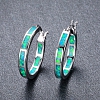  Circle Hoop Earrings PWB316