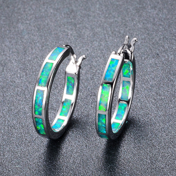  Circle Hoop Earrings PWB316
