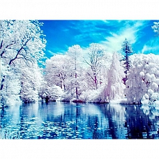 Full Drill 5D Diamond Painting Kit (DIY) -snow-covered landscape PW532