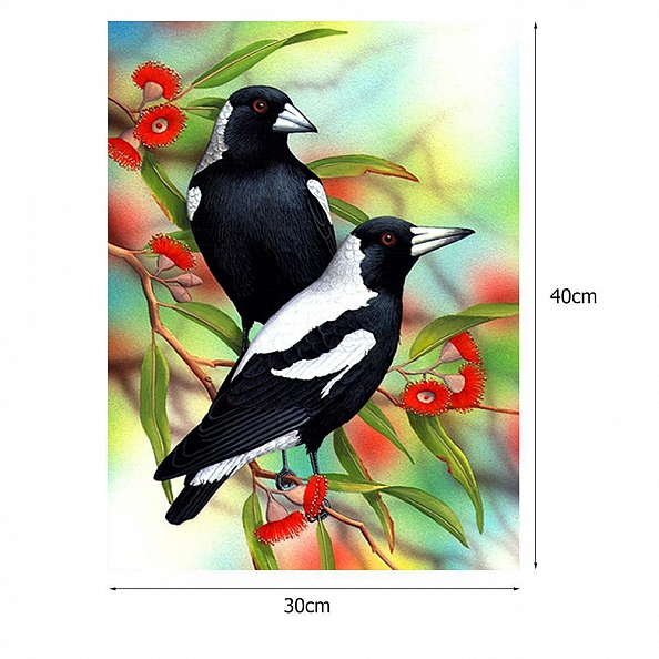 DIY Full Round Drill  Diamond Painting- Bird PW704 