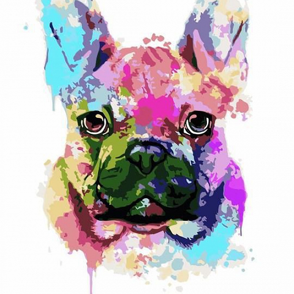 Cat & Dog Paint By Numbers Kits PW169